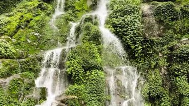 Doğu Sikkim 'de Güzel Bhakthang Şelalesi Çetesi