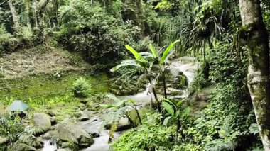 Gangtok Sikkim 'den canlı yayın.