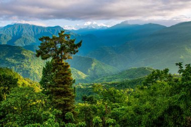 Siddheshwar 'da Rameswaram Char Dham Nimachi Sikkim