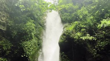 Doğu Sikkim 'de 40 feet yüksekliğinde Buda şelalesi