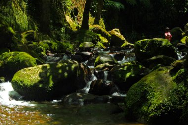 Surakarta, Central Java, Endonezya - 23 Aralık 2019: Endonezya 'nın Surakarta kentindeki yeşil ve kaygan yosunlarla kaplı büyük kayaların arasından akan nehir akıntısı 23 Aralık 2019.