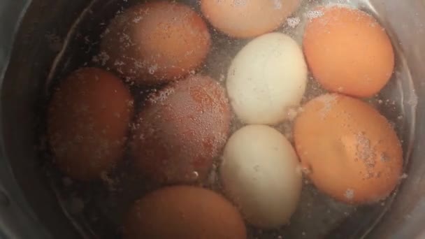 Huevos Gallina Cuerno Huevos Gallina Nativos Hierven Una Olla Con — Vídeos de Stock