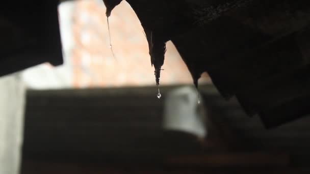房顶上的每一滴水都慢慢地落了下来 — 图库视频影像