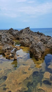 Büyük, oyuk, düzensiz şekilli mercan resifleri, Midodaren Gunungkidul, Yogyakarta kıyılarındaki çarpışan dalgalardan deniz suyu topluyor..