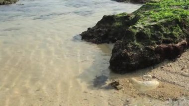 Denizin aşağı ve akışı deniz yüzeyinin dibini su birikintileri, beyaz kum, mercan ve deniz bitkileri şeklinde terk eder.