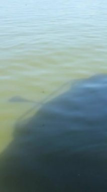 Geminin gölgesi gölün dalgalanan sularında bile görülebilir.