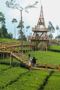 Batu, East Java, Indonesia - June 10, 2021 : Tourists enjoying the fresh scenery in the middle of the tea garden from Batu city, East Java. clipart