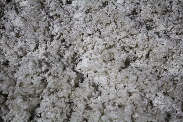 Glutinous Rice bandını mayayla karıştırma işlemi