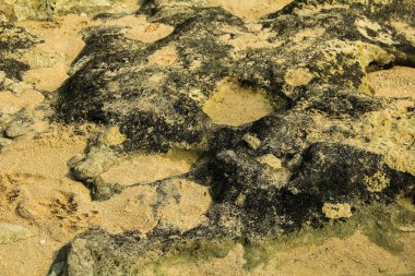 Plaj kayaları beyaz kuma karışıyor.