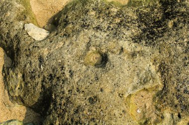 Sahilin kayalık yüzeyi beyaz kumla karışıyor.