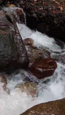 Kayaların arasından akan vahşi dağ nehirleri, ormanda akan berrak su. Dikey çekim