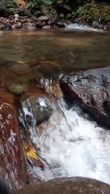 Kayaların arasından akan vahşi dağ nehirleri, ormanda akan berrak su. Dikey çekim