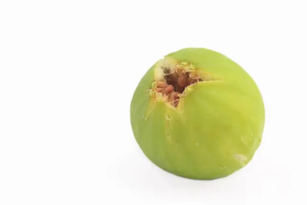Beyaz arka planda meyveli incir yeşili veya Ficus carica var. İncir Yeşil Ürdün