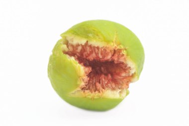 Beyaz arka planda meyveli incir yeşili veya Ficus carica var. İncir Yeşil Ürdün