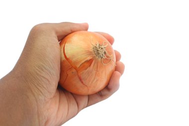 Parlak beyaz bir arka planda hafif çatlamış, sarı soğan tutan bir el.