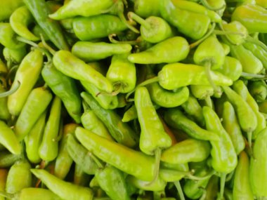 Yerel çiftçi pazarında canlı bir dizi taze yeşil biber satışta.