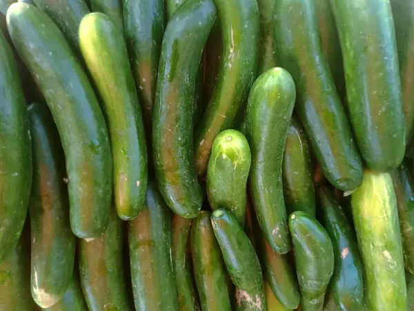 Stock image heap of cucumber at a shop in Punjab Pakistan local market for sale