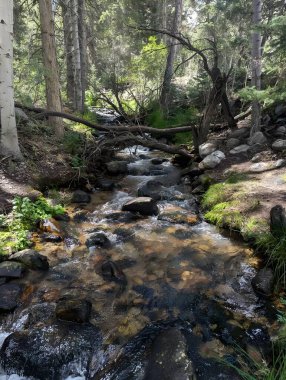 Tallulah Nehri 'nin baş suları, Kuzey Georgia Dağları.
