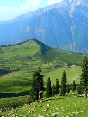 A scenic view of rolling green hills and distant mountains in the Kralicky Sneznik Mountains of Czechia. The landscape is bathed in warm sunlight, creating a serene and peaceful atmosphere. clipart