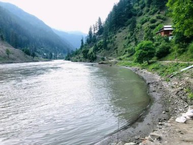 Leopar serengeti tanzanyasında ağaçta, Leopar Afrika ovasında gün batımında ağaca tırmanıyor.