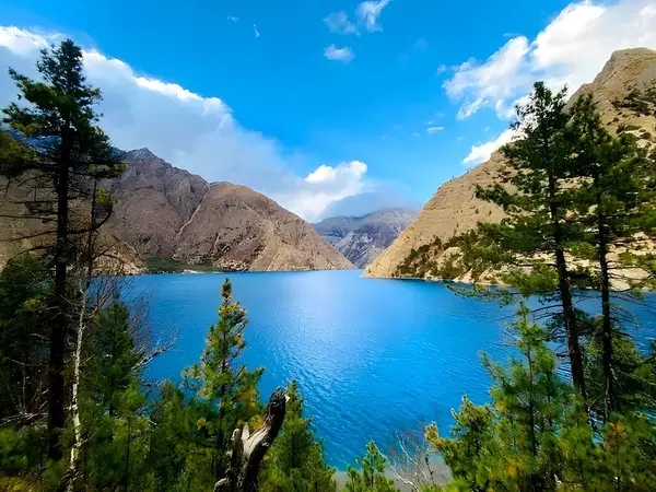 Sonbahar Ormanı Yolu Renkli Ağaçlar Arasında Manzaralı Yol