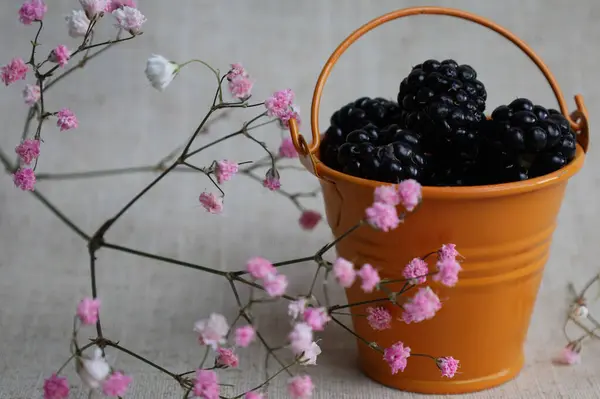 Beyaz arka planda küçük bir kovada böğürtlen
