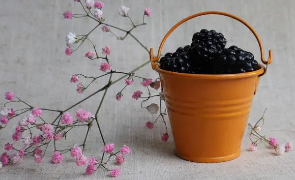 Beyaz arka planda küçük bir kovada böğürtlen