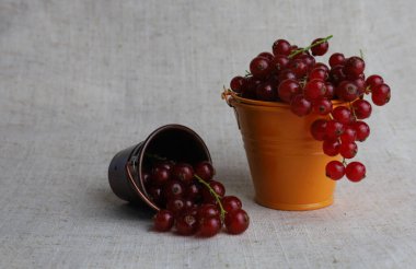 Beyaz arka planda küçük bir kasede lapa.