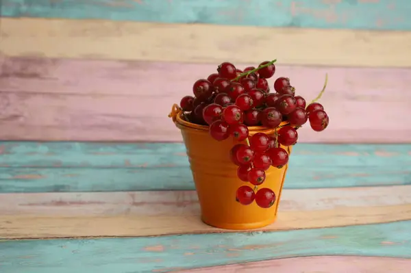 Beyaz arka planda küçük bir kasede lapa.