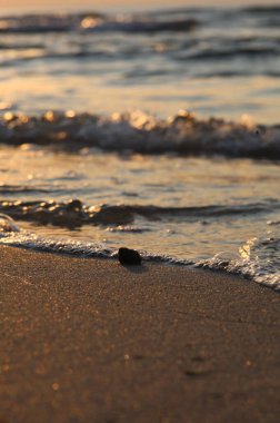 Yaz kapanış günbatımı deniz manzarası. Renkli okyanus plajı gündoğumu. Güzel plaj yansımaları sakin dalgalar, yumuşak kumlu sahil. Mükemmel tropikal sahil manzarası manzarası. Akdeniz doğası