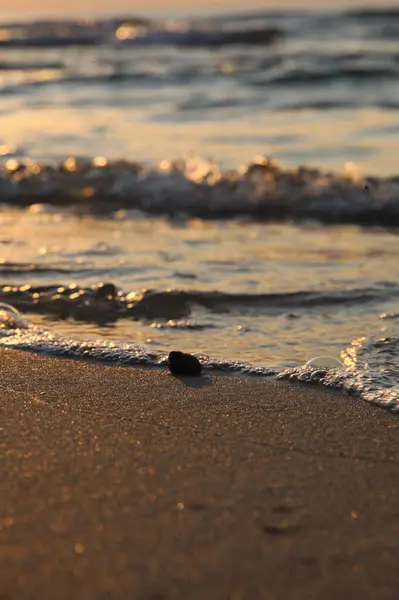 Yaz kapanış günbatımı deniz manzarası. Renkli okyanus plajı gündoğumu. Güzel plaj yansımaları sakin dalgalar, yumuşak kumlu sahil. Mükemmel tropikal sahil manzarası manzarası. Akdeniz doğası
