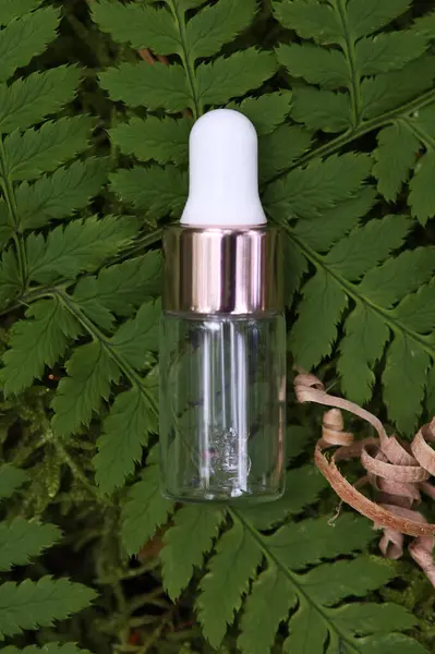 Yaprakların arasındaki bir taşın üzerinde beyaz bir kozmetik tüpü. Doğal bitki kozmetik konsepti. Modelleme. Bulanık arkaplan.