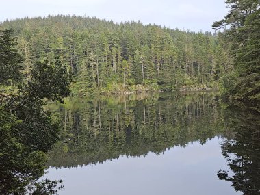 Dağlardaki gölün güzel manzarası