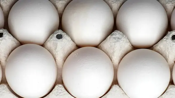 The Chicken eggs on tray image, eggs close-up image.