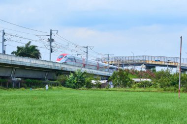  Yüksek hızlı bir tren yeşil pirinç tarlalarından yüksek bir demiryolunu geçerek modern ulaşımı kırsal alan ve tropikal doğa ile harmanlıyor..