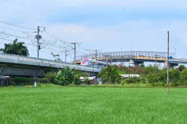 Yüksek hızlı bir tren yeşil pirinç tarlalarından yüksek bir demiryolunu geçerek modern ulaşımı kırsal alan ve tropikal doğa ile harmanlıyor..