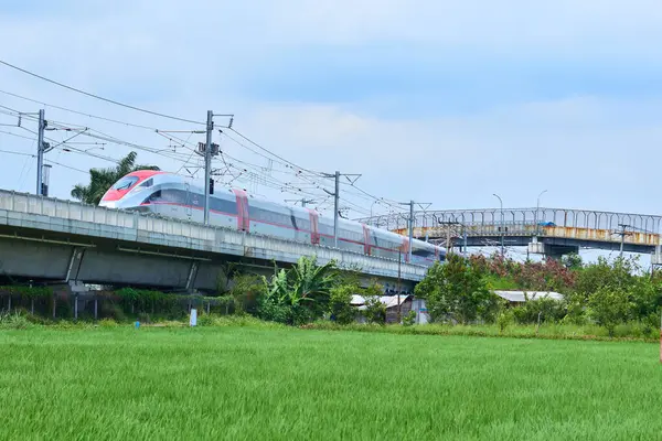 Yüksek hızlı Whoosh treni Endonezya 'nın kırsal kesimlerindeki yüksek raylarda süzülüyor, yemyeşil bir arazi ve mavi gökyüzüne karşı modern ulaşımı sergiliyor..