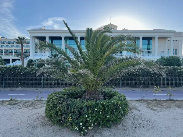 Bu görüntü, ön planda bereketli bir palmiye çalısı olan deniz kıyısındaki bir oteli, alacakaranlık gökyüzüne karşı çeker. Otellerin silueti alacakaranlıkta kaybolan ışığa karşı özetlenir ve dingin bir hava yaratır.