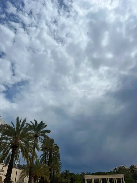 Bu görüntü bulutlu bir gökyüzünün dramatik bir sahnesini çekiyor. Koyu renkli, kıvrımlı bulutlar gür palmiye ağaçlarının üzerinde toplanıyor. Koyu renk fırtına bulutları ile parlak yeşil palmiye yaprakları arasındaki zıtlık.