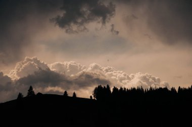 Genç kıvırcık kız, sisli bir sisli denizden ve mavi gökyüzünden geriye doğru bakan sisli güneşe bakıyor. Yüksek kalite fotoğraf