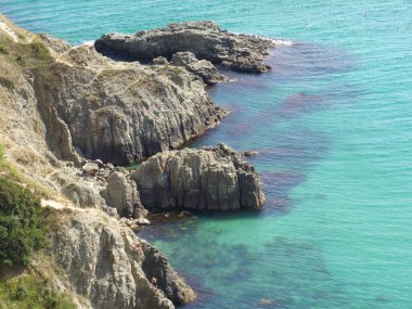 Güneşli bir yaz sabahında tepedeki manzara ve çam ağaçları. Karadeniz