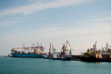 Kış nakliyesi. Donmuş buz denizinde büyük kargo gemileri. Yüksek kalite fotoğraf