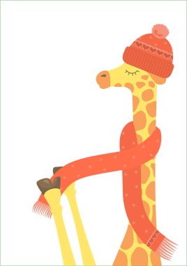 Şapka ve eşarp takan yakışıklı zürafa 