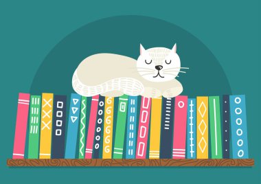 Kedi kitaplıkta uyuyor.