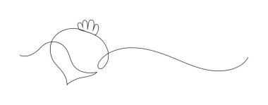 Pancar. Sürekli çizgi çizimi.