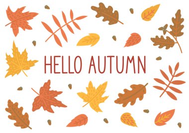 Merhaba sonbahar. El yazısıyla çizilmiş sonbahar yaprakları ile el yazısı metni çerçevesi. 