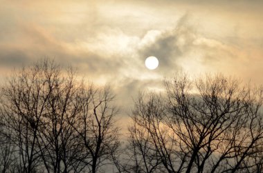 Güneş ve bulutlu gökyüzü, güneş çizgileri, ağaçlar