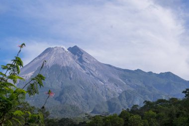 Merapi Dağı, Java Adası, Endonezya.
