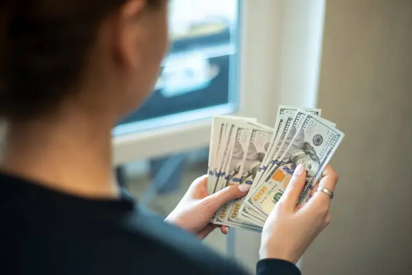 Kadın pencerenin önünde dururken sayısız yüz dolarlık banknotları dikkatle sayıyor. Parlak gün ışığı çağdaş odayı dolduruyor, elindeki parayı vurguluyor..