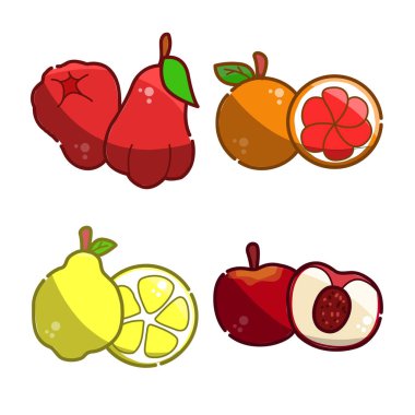 Meyve ikonları koleksiyonu. Tropik egzotik meyve ikonları. Meyvelerin düz çizimi. Çiğ yiyeceğin simgeleri.      